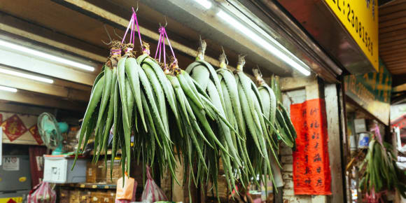 Picture of Off the Beaten Track in Taipei: Wanhua District Tour
