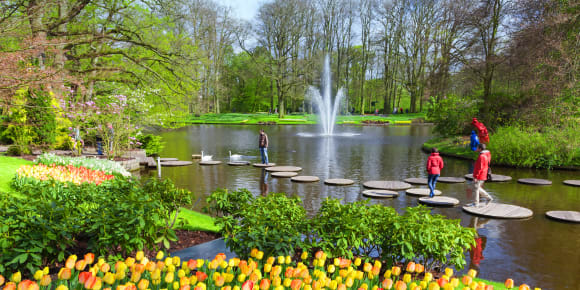 Picture of Keukenhof in Full Bloom: A Private Tour with a Local Guide