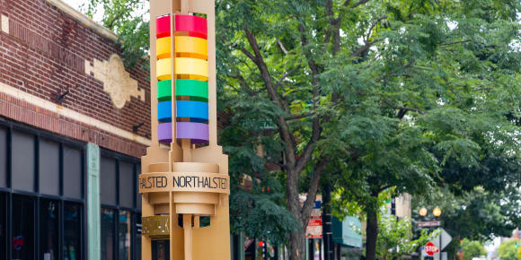 Picture of Highlights & Hidden Gems of Chicago