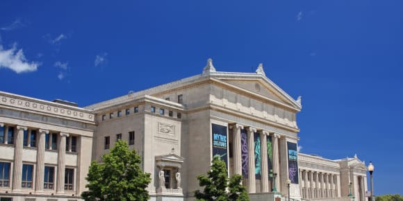 Picture of Full Coverage Chicago City Tour