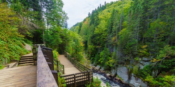 Picture of The Ultimate Mont-Tremblant National Park Day Trip