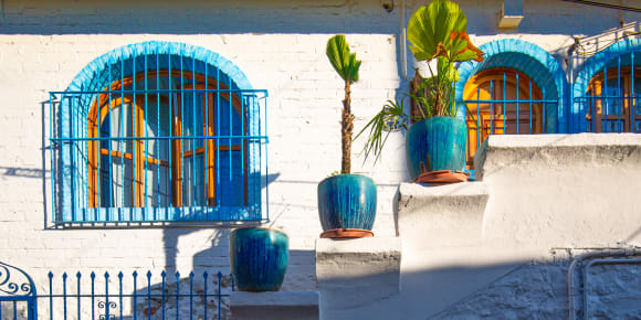 Picture of Highlights & Hidden Gems of Puerto Vallarta