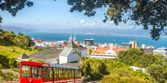 Picture of Highlights & Hidden Gems of Wellington