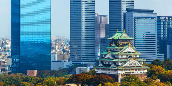 Picture of Osaka's Majestic Past: A Journey Through Time at the Historic Castle
