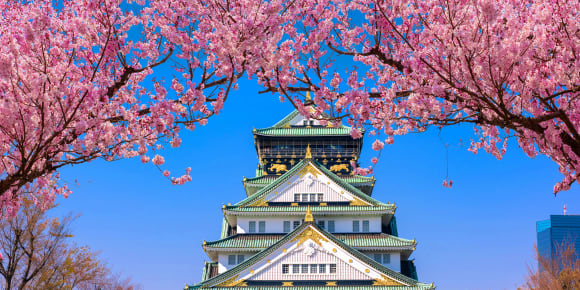 Picture of Essential Osaka: From Sky Towers to Street Markets to Castles Full Coverage Tour