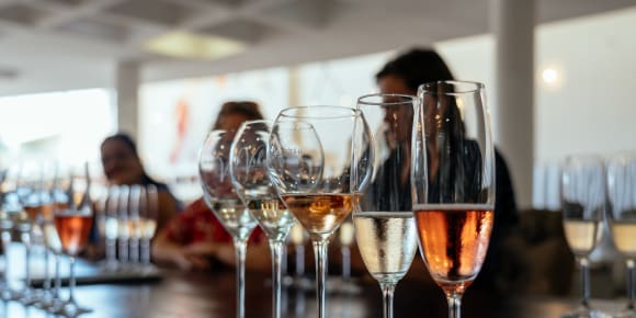 Picture of Vineyard Voyage: Unveiling Wine Delights of Stellenbosch