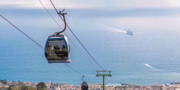 Picture of Day Trip: Funchal's Botanical Garden by Cable Car