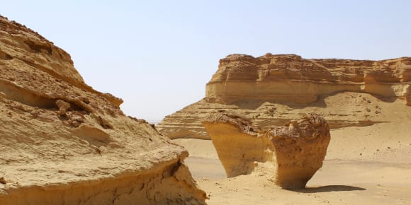 Picture of The Ultimate Al Fayoum Oasis Day Trip