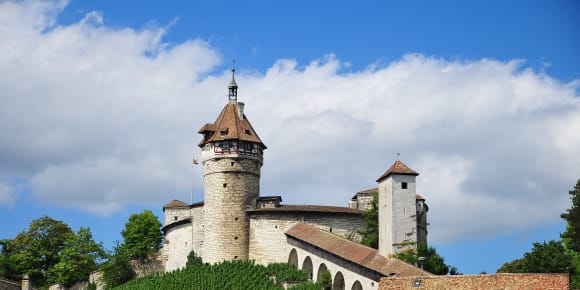 Picture of City Escape: Rhine Falls Day Trip by Train