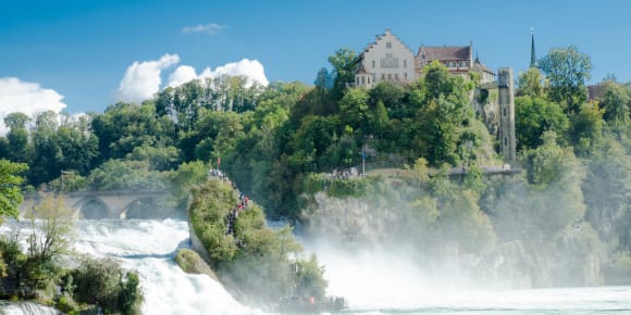 Picture of Ultimate VIP Rhine Falls Experience: Day Trip for Up to 5 People