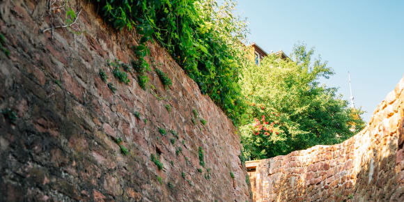 Picture of Stroll Through Thought: The Philosopher’s Walk in Heidelberg