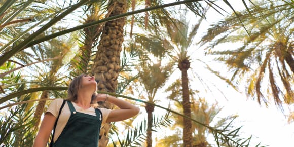 Picture of Escape to Al Ain: A Cultural Day Trip