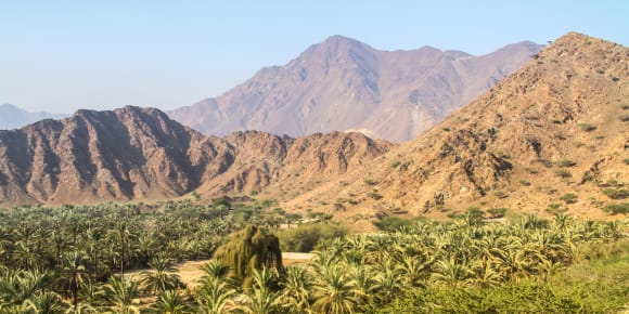 Picture of Withlocals Your Way!: Explore Beyond Dubai Day Trip