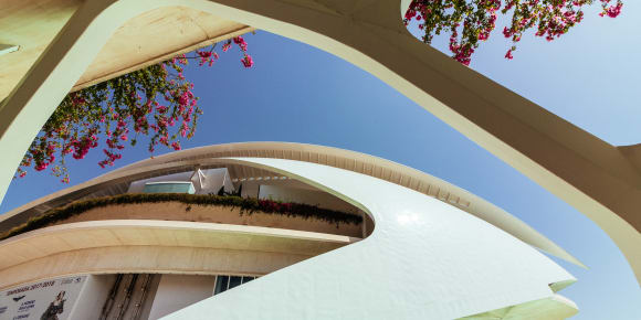 Picture of Highlights & Hidden Gems: City of Arts & Sciences