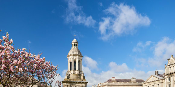 Picture of Treasures of Dublin: Book of Kells, Dublin Castle & Molly Malone Statue Tour