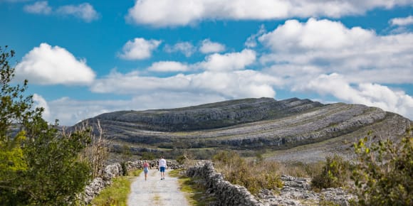Picture of The Ultimate Cliffs of Moher, Burren & Galway Day Trip