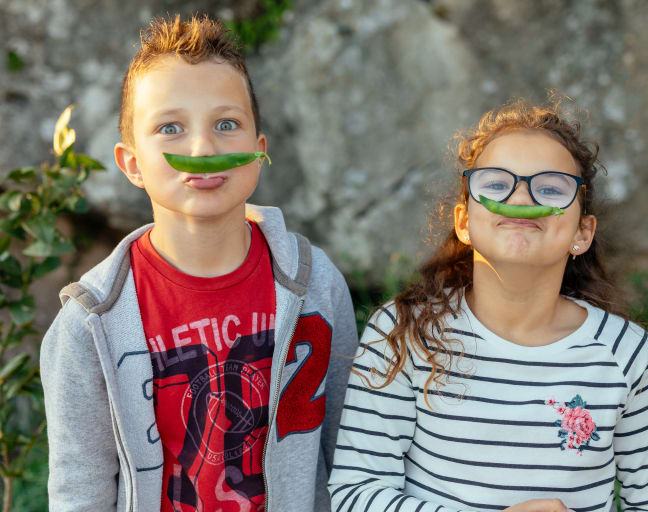Family Fun: Cooking Class in Dubrovnik Countryside