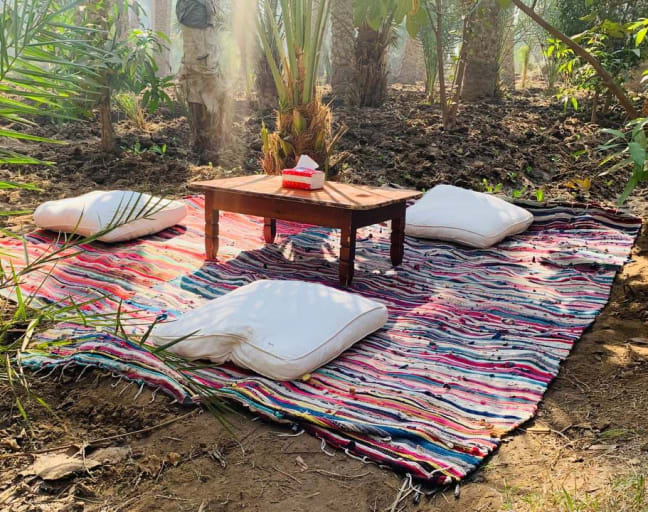 Explore Cairo's Rural Charms: Journey into the Countryside