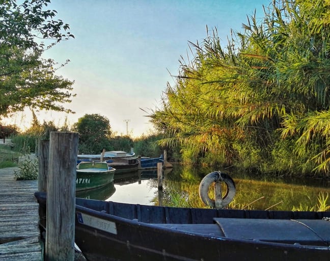 Albufera Natural Park by Bike Tour