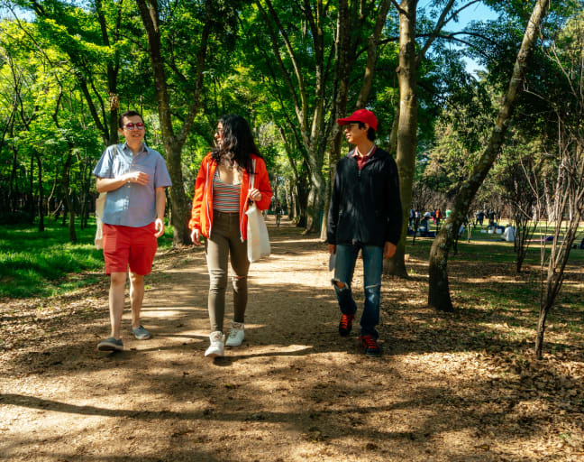 Off the Beaten Track in Mexico City: Coyoacan Tour