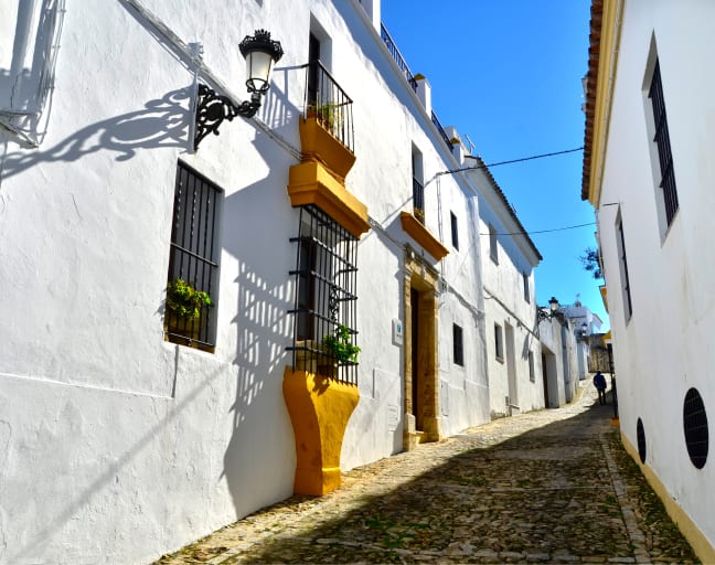 Vineyard Delights: Cadiz Hills and Local Village Tour