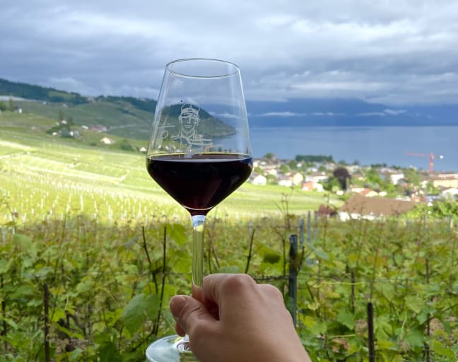 Vineyard Bliss: Discovering UNESCO-Listed Lavaux