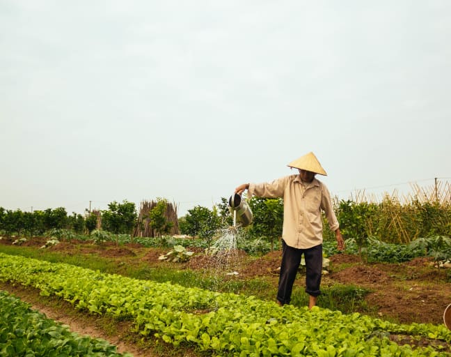 Farm tour & Cooking in Hanoi with local family