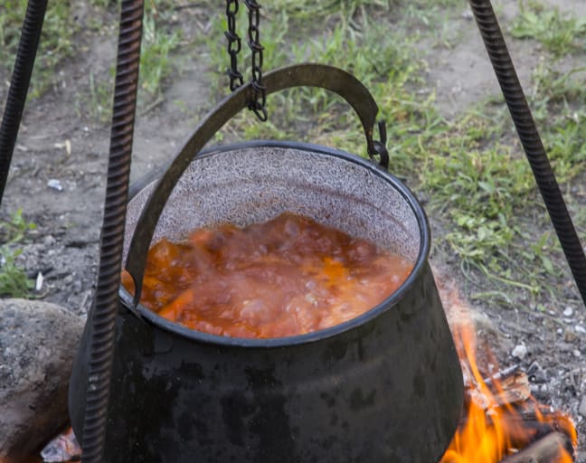 An Authentic Danubian Fisherman Cooking Class