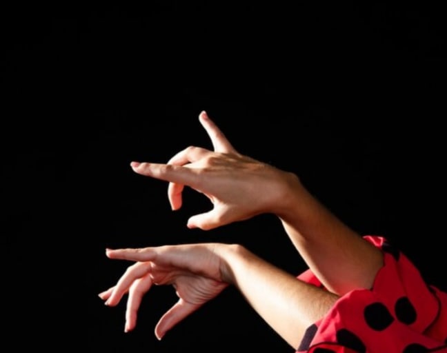 Sacromonte Flamenco Encounter: Live Show and Dinner within a Cave Setting
