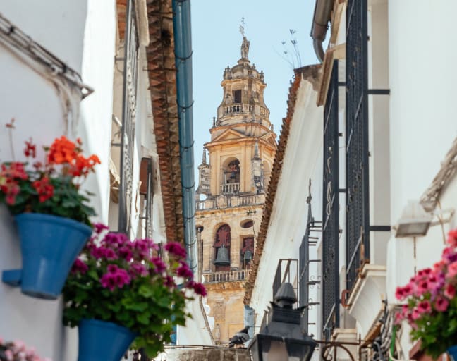 City Discovery: Carmona & Cordoba Day Trip