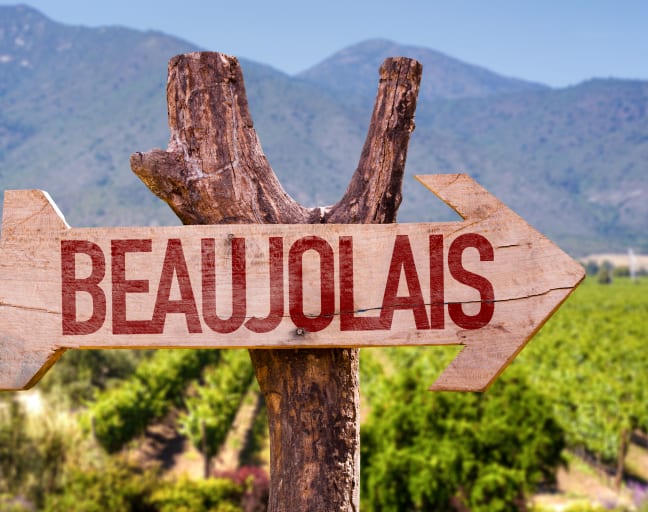 City Escape: Beaujolais Day Trip