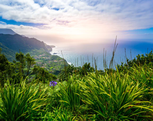 Madeira: North West Shore Day Trip by Car