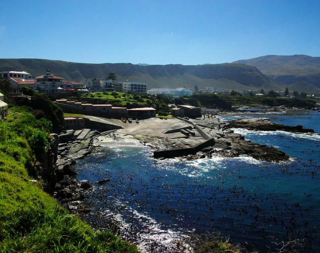Cape Town's Whales & Wine day trip with Seafood Lunch