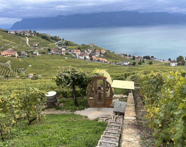 UNESCO World heritage vineyards
