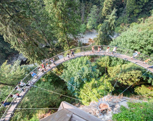 City Escape: Vancouver Lookout & Capilano Suspension Bridge Park Day Trip
