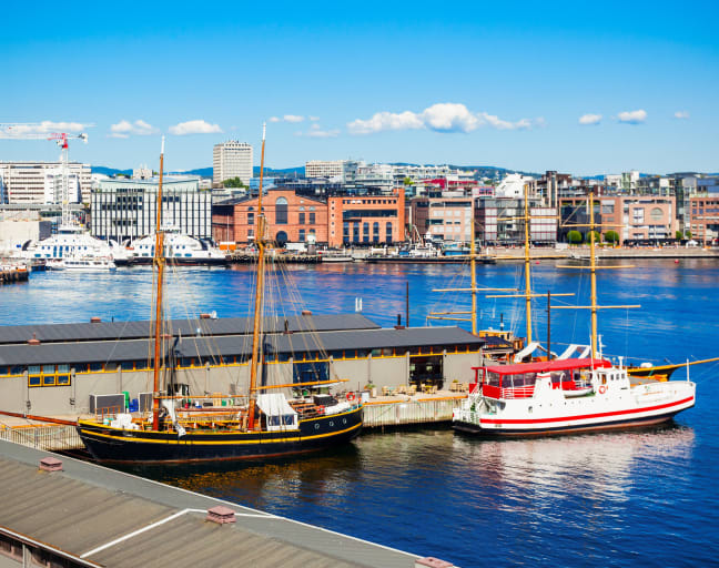 Oslo's Best: City Highlights and Oslofjord Cruise
