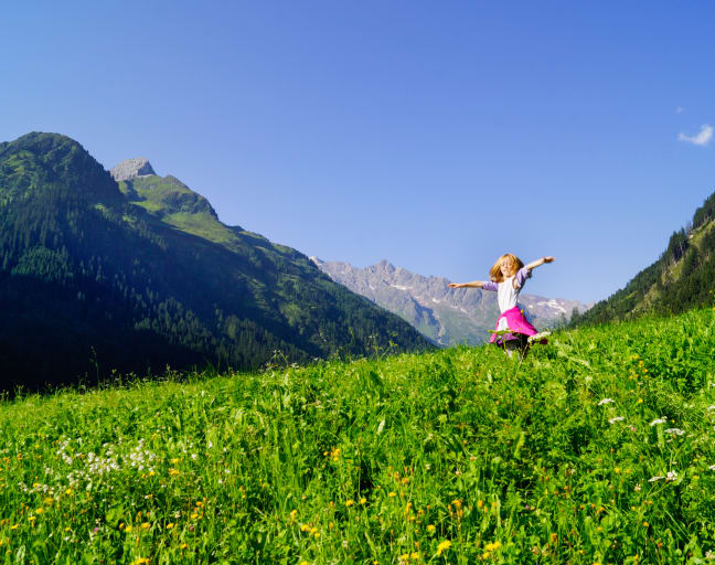 Melodies of Salzburg: A Journey Through Musical History and Alpine Culture
