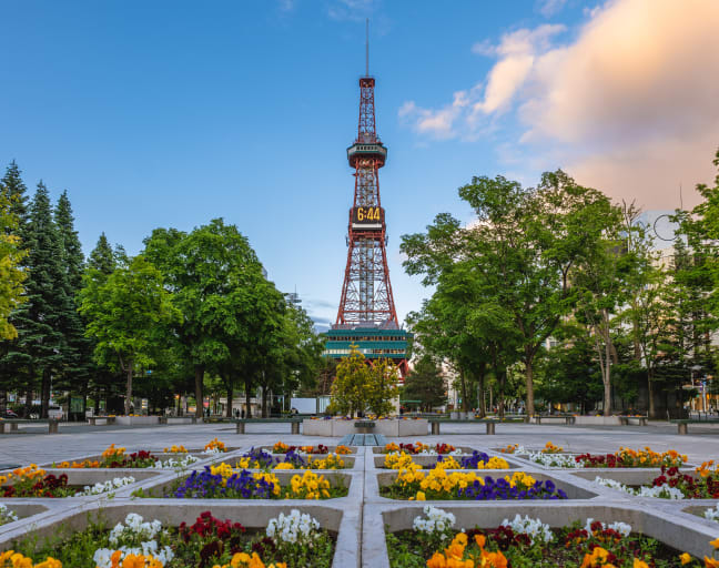 Highlights & Hidden Gems of Sapporo