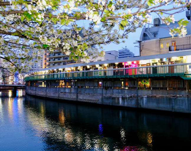 Drinks & Bites in Yokohama: Nochego District Tour