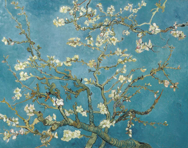 Explore the Van Gogh Museum with a Local Guide
