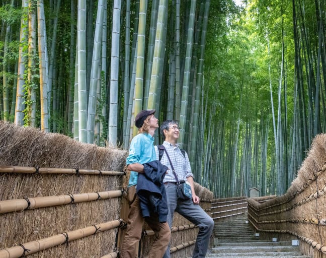 City Escape:  Day Trip Arashiyama & Bamboo Grove