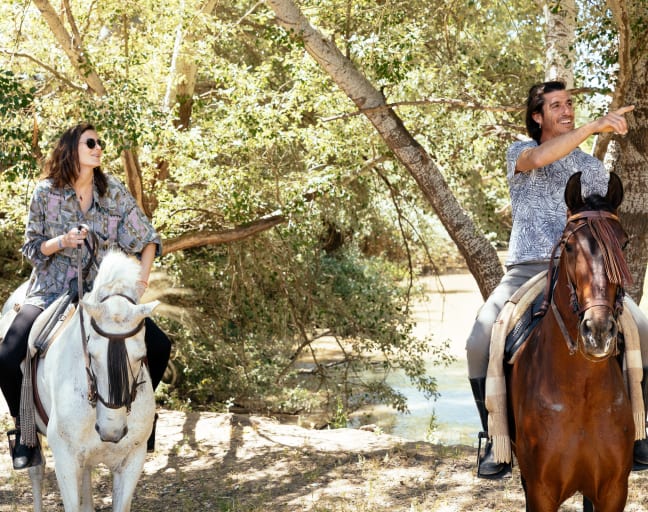 La Algaba Horse Buggy or Horseback Riding Countryside 