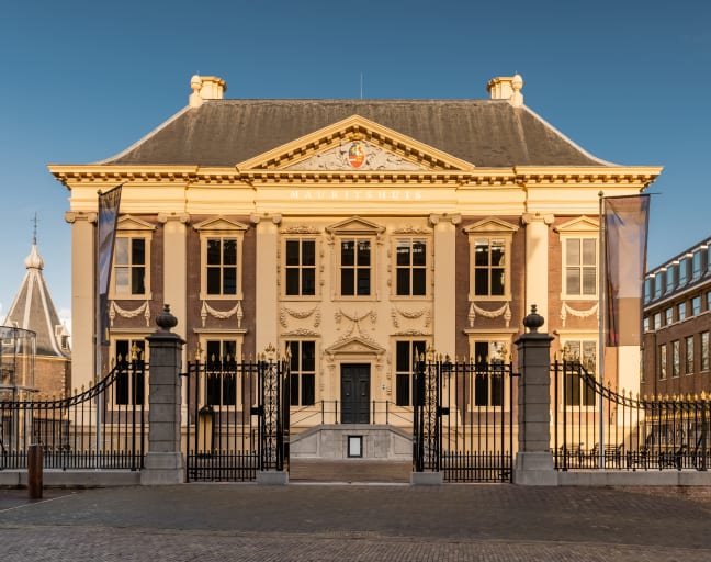 Explore the Mauritshuis with a Local Guide