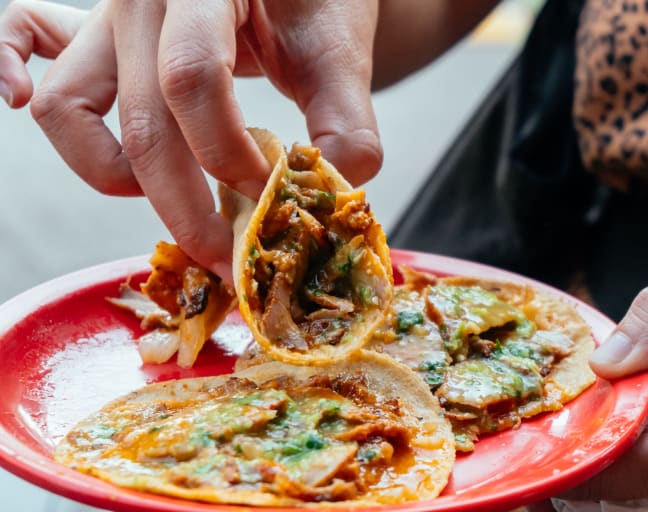 The 10 Tastings of Playa del Carmen
