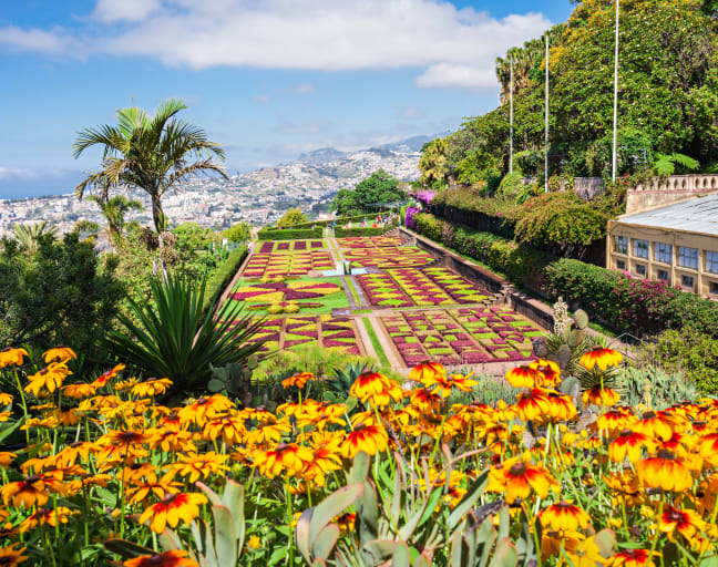 Day Trip: Funchal's Botanical Garden by Cable Car