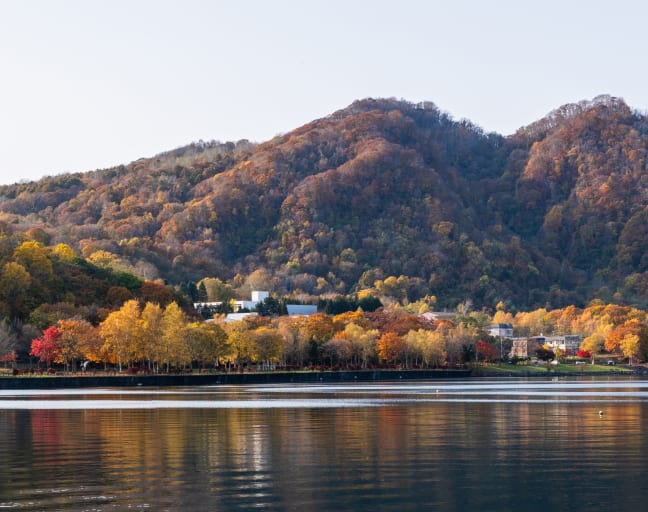 Withlocals Your Way! : Hokkaido Day Trip