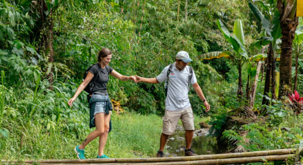 tour guide in cebu city