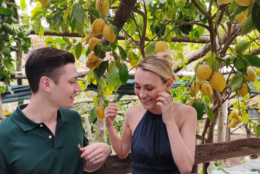 Picture of  Limoncello Magic: A Culinary Experience in Amalfi Coast's Lemon Groves