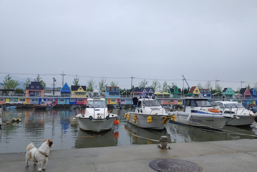 Picture of Busan's Coastal Gems: Bunecia, Nakdong River Walk, and Dadaepo Beach Sunset