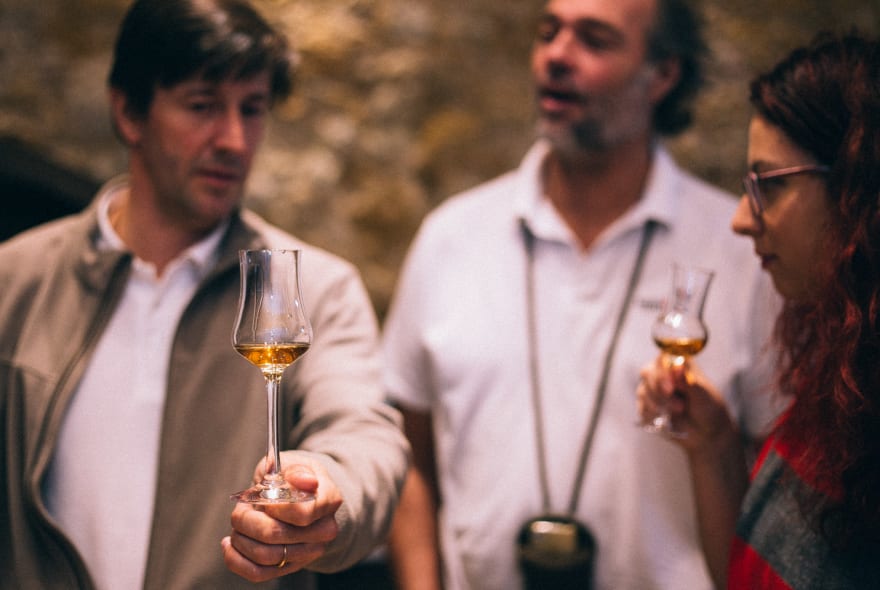Picture of Divine Wine Tasting in Setubal - Private Day Trip